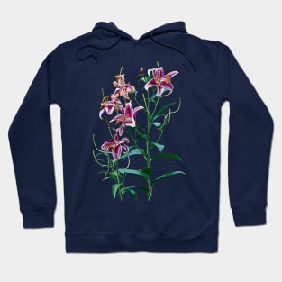 Stargazer Lily Plants Hoodie